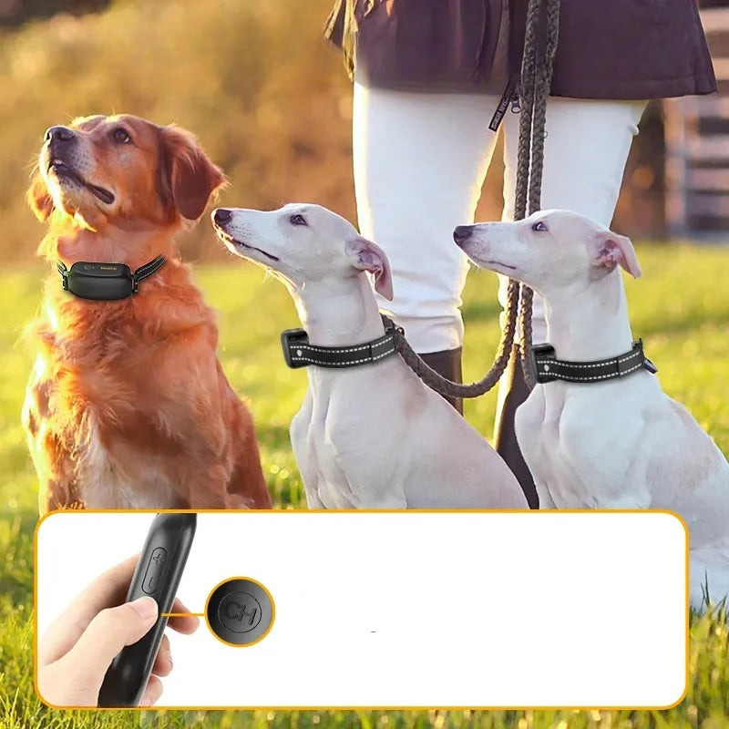 TrainPaw Wiederaufladbares Trainingshalsband mit Fernbedienung für Hunde