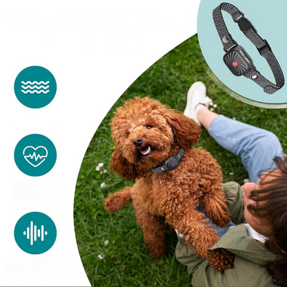 QuietTail - Anti-Bell-Halsband für kleine Hunde & Welpen - Sanft & Effektiv