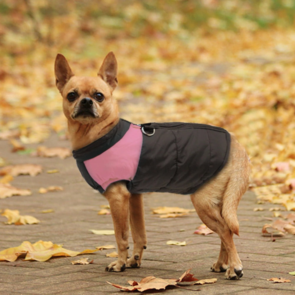 WeatherWoof | Waterdichte en Ademende Hondenjas voor Elk Weer