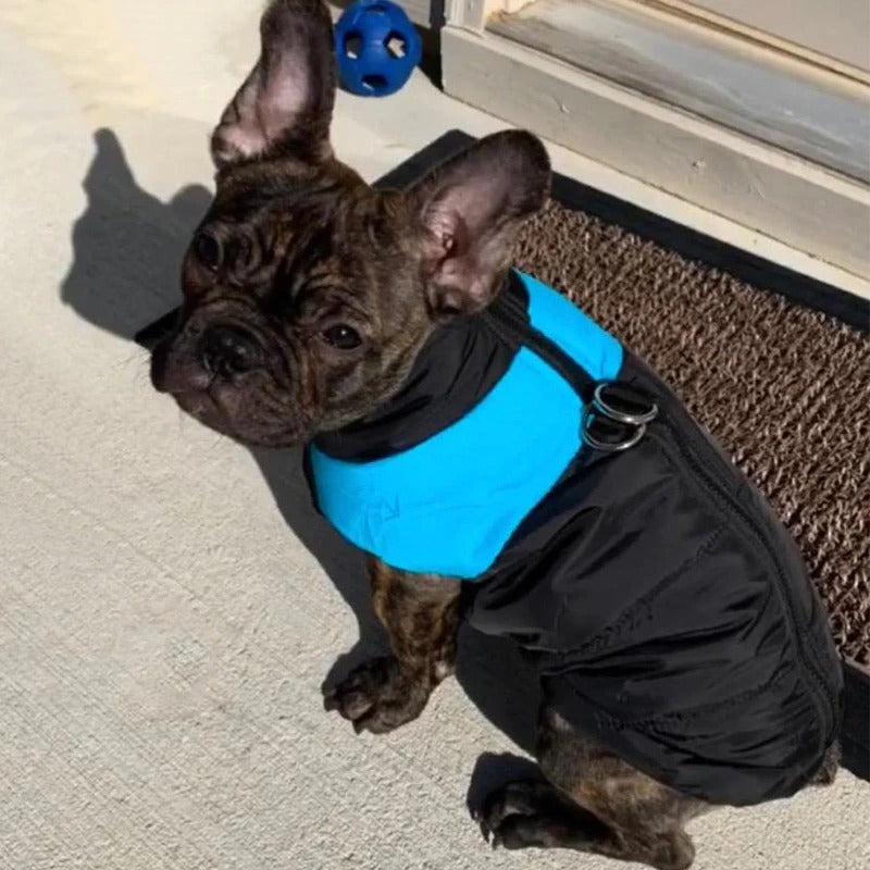 WeatherWoof | Wasserdichte Hundejacke für alle Jahreszeiten | Komfort & Stil für Ihren Vierbeiner