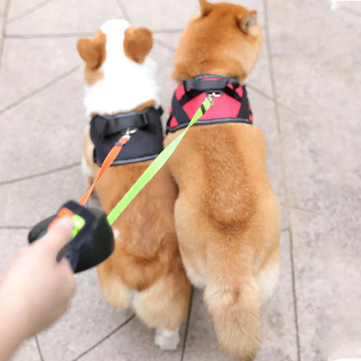 TwinLeash: Verstelbare Dubbele Hondenriem - Geluidsarme, LED-verlichte Wandelingen met Twee Honden