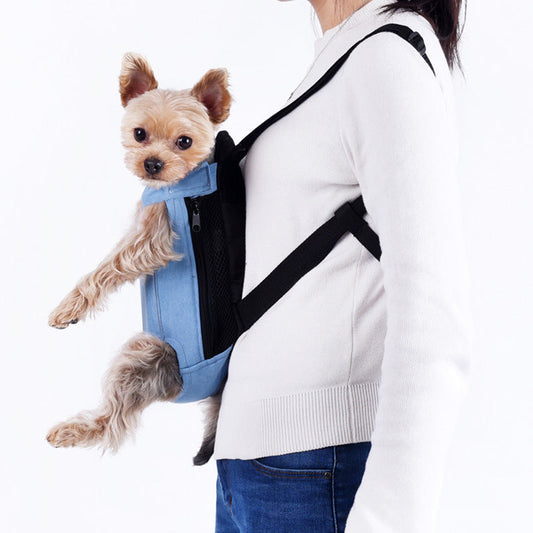 Ergonomische Hundetasche als Rucksack: Perfekt für kleine Hunde & Welpen im Herbst & auf Reisen