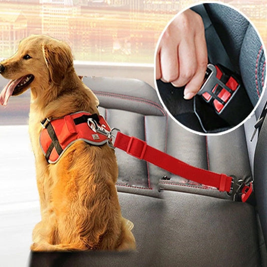 SecurePup | Sichere Hundegeschirr für das Auto