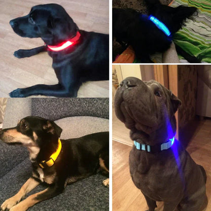 GlowPets | Leuchtendes LED-Halsband für Haustiere