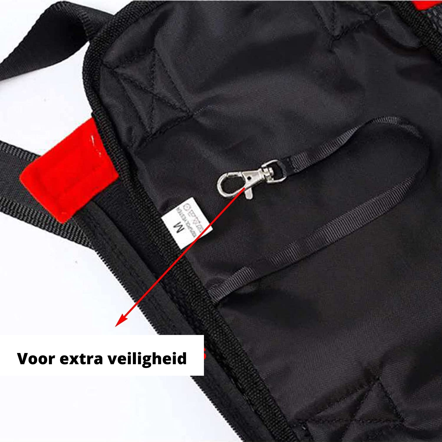 Ergonomische Hundetasche als Rucksack: Perfekt für kleine Hunde & Welpen im Herbst & auf Reisen