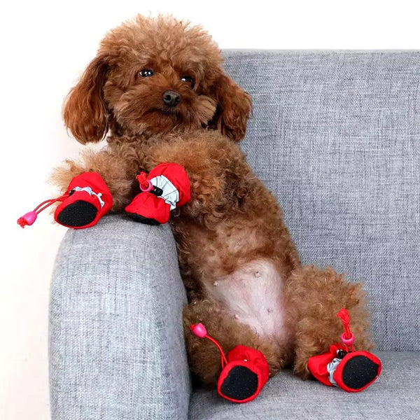 PetStep Wasserdichte Hundeschuhe mit verstellbaren Riemen – Ultimativer Pfotenschutz für jedes Wetter