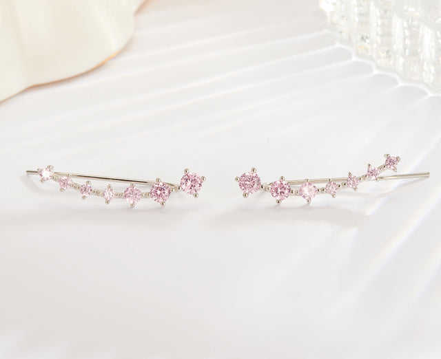 Eleganter Zirkon 925 Sterling Silber Ohrring – Zeitloser Luxus für Damen