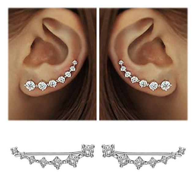 Eleganter Zirkon 925 Sterling Silber Ohrring – Zeitloser Luxus für Damen