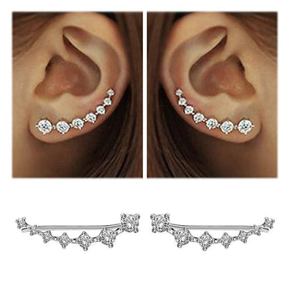 Eleganter Zirkon 925 Sterling Silber Ohrring – Zeitloser Luxus für Damen