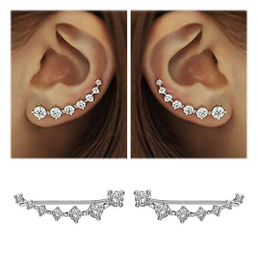 Eleganter Zirkon 925 Sterling Silber Ohrring – Zeitloser Luxus für Damen