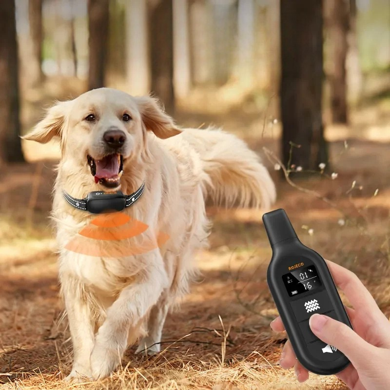 TrainPaw Wiederaufladbares Trainingshalsband mit Fernbedienung für Hunde