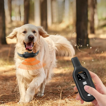 TrainPaw Wiederaufladbares Trainingshalsband mit Fernbedienung für Hunde