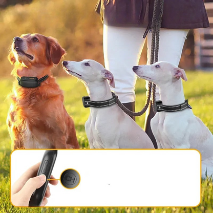 TrainPaw Wiederaufladbares Trainingshalsband mit Fernbedienung für Hunde