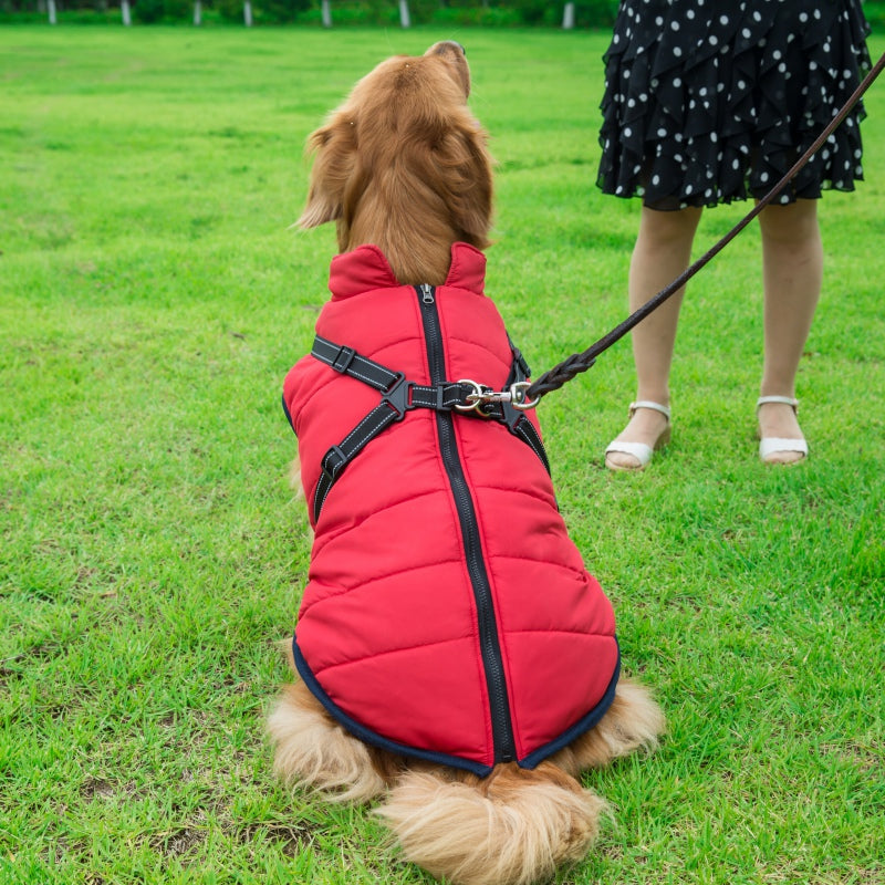 WarmHarness | Hochwertiger Hundemantel mit integriertem Geschirr für Wärme und Sicherheit