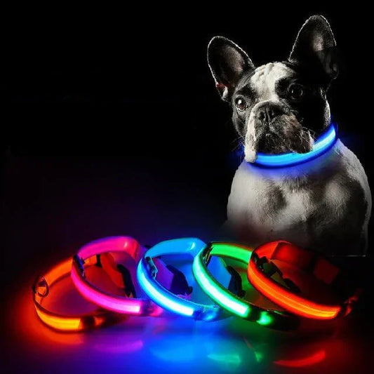 GlowPets | Leuchtendes LED-Halsband für Haustiere