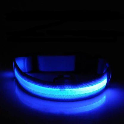 GlowPets | Leuchtendes LED-Halsband für Haustiere