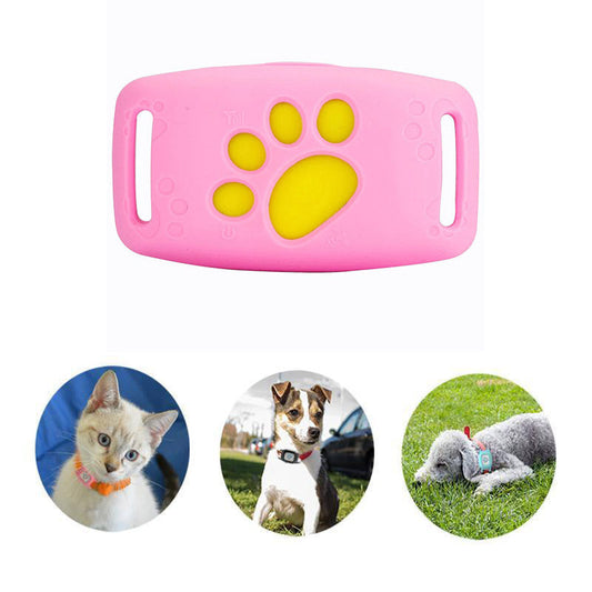 PawTrack - Intelligenter GPS-Halsband für Katzen | Echtzeit-Tracking für die Sicherheit Ihres Haustiers